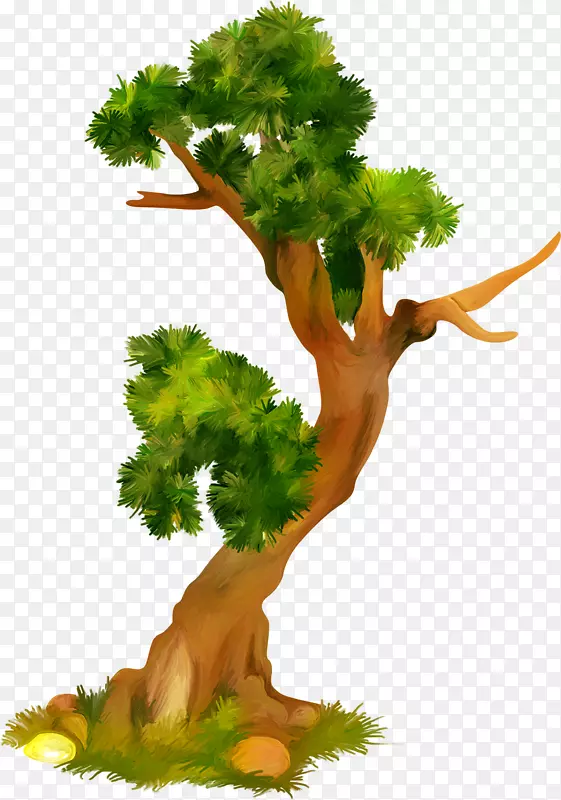 ˮ�ʻ�����ˮ�ʻ�����-������