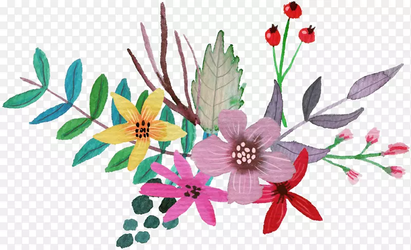 �����л�������ֲ��ݱ�ֲ��.ˮ�ʻ�-������