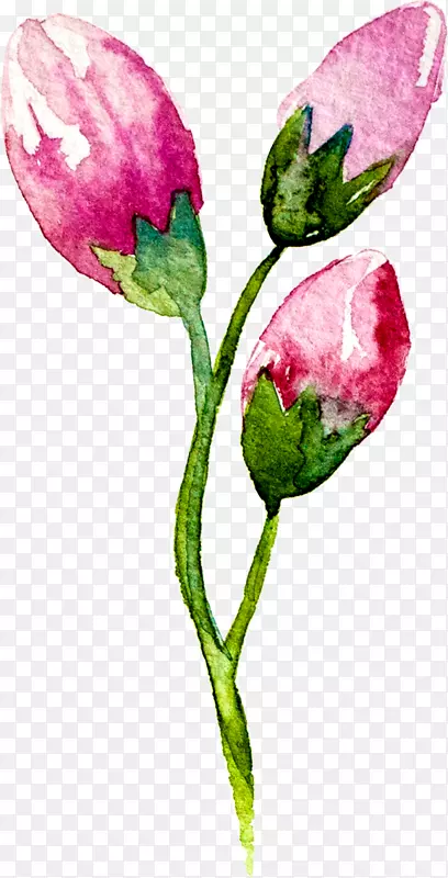 ����ˮ�ʻ�����ˮ�ʻ�-������