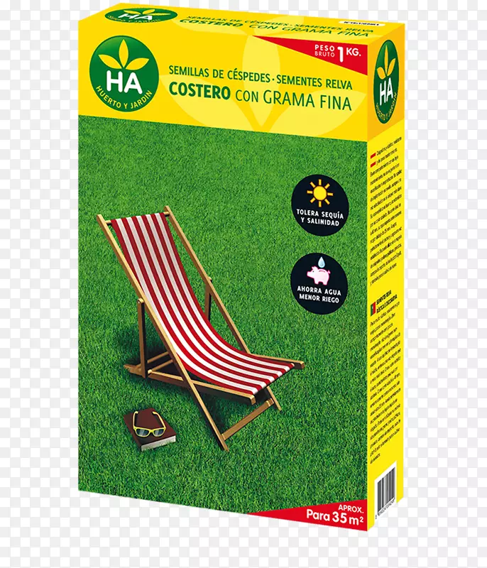 �ݣ���ƺ���ӣ��������ͨɳ��-������