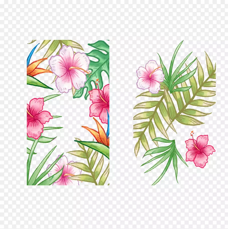 Ҷ�����һ����ֲ�ﾥ-�����ۺ�ɫ������-������