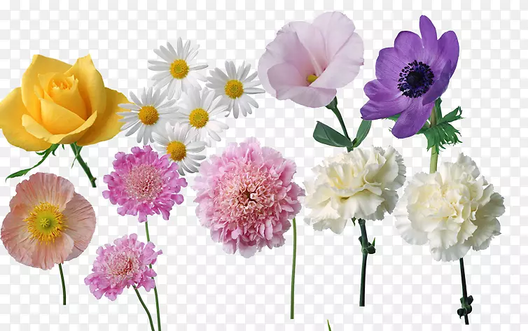 ĵ���л��ݱ�ֲ��һ����ֲ��ջ�-������