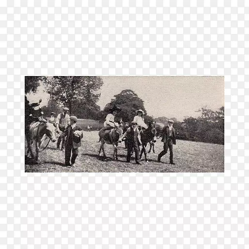 ��������ɫ����-1��3�����м���-������