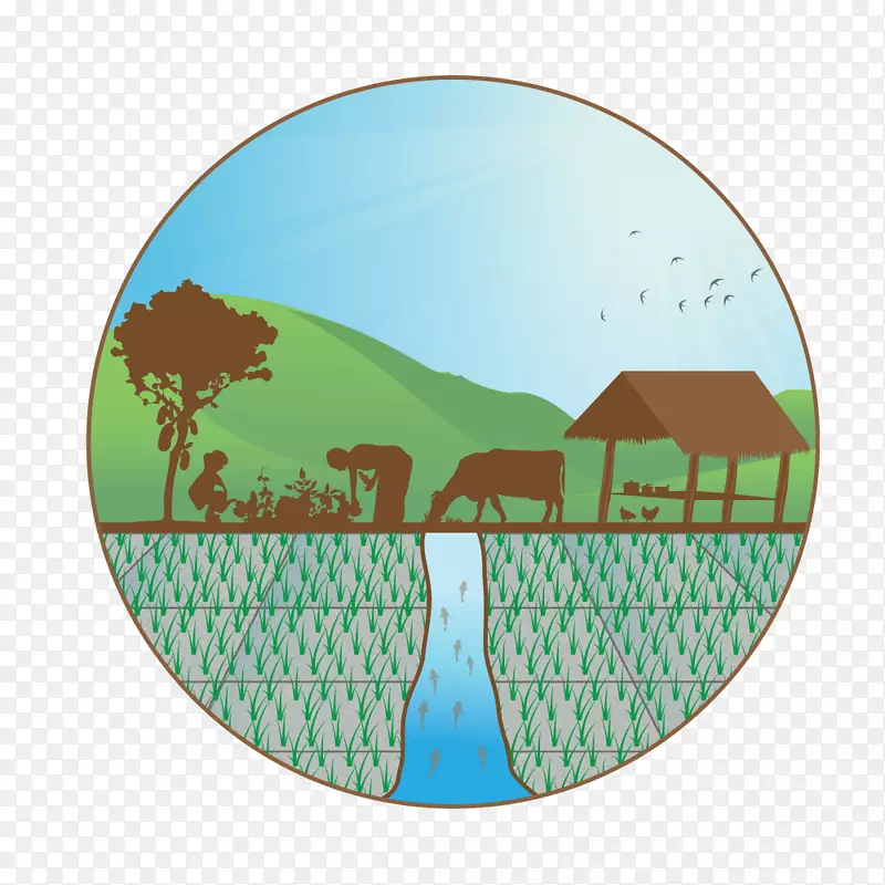 ����կ�ʼ�ũҵ��ѧ�ɳ���ũҵ԰���о�-�ʼҸ�����ʽ-������