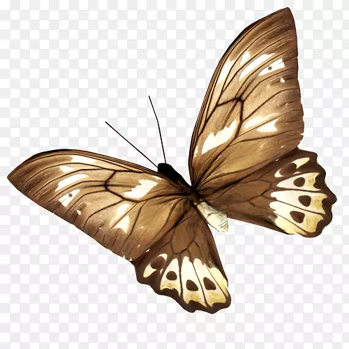 ��������ë���׵ĺ������ɶ�-����-������