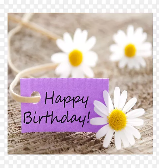 ���տ���ףԸ�ؿ��������Ʒ-����-������