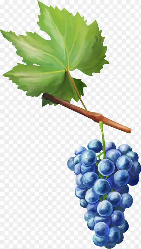 �����ѹ���-������