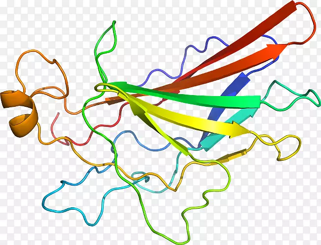 �ߵ������������-������