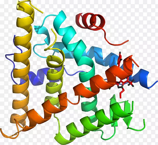 �����߶����������-������