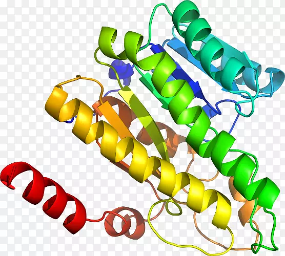 �����鱦ϵ���л��������-�鱦-������