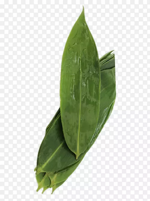 ���-��������ҶͼƬ����-������