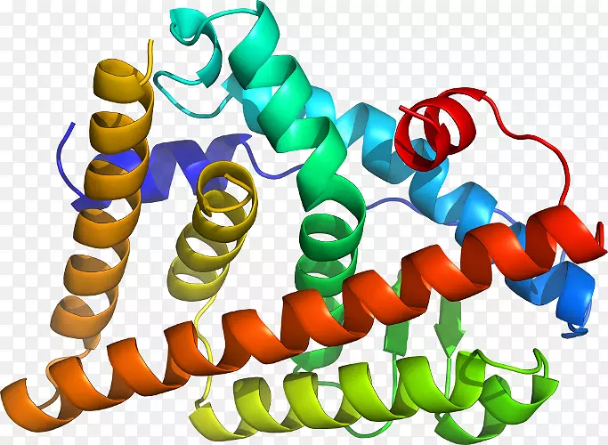 �����鱦�л�������������.�鱦-������