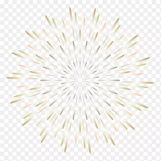 �߶Գ�������-������