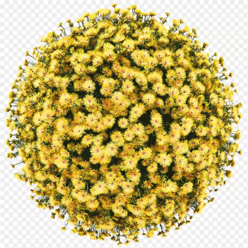 ����ѷ(Amazon.com)��ֽ�ƽ��ɶԻ���-����ͨ����-������