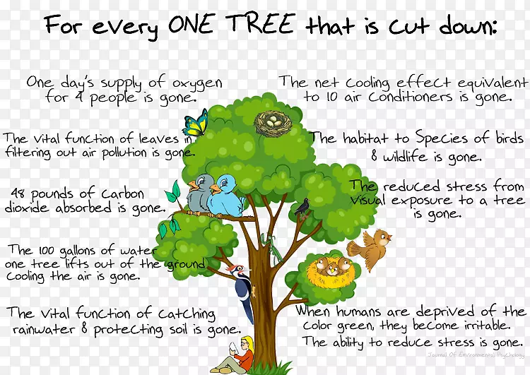 ��������ֲ��Ҷ��-������