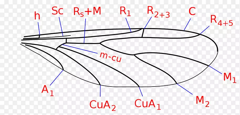 �߳������Ŀ/m/02csf�������-������