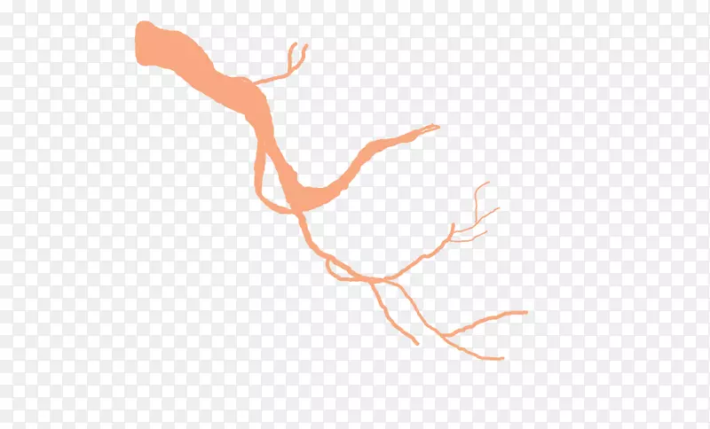 ��ָ�����ֽ���Խ�ͷ����������-������