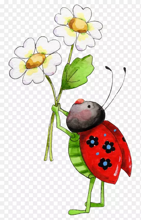 ����ư�������-����-������