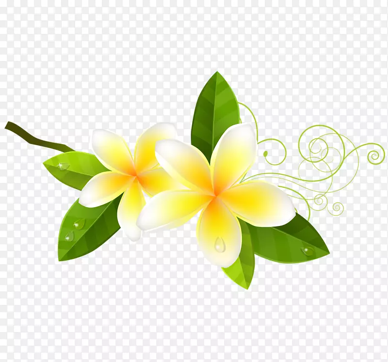 õ�廨������-������