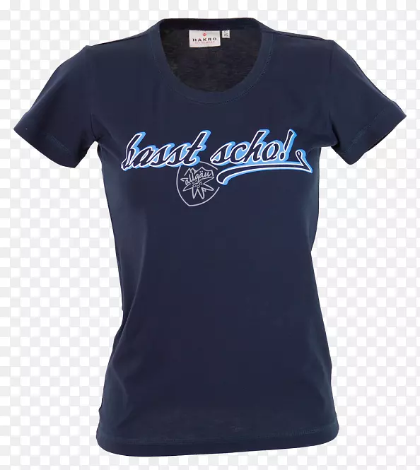 t�����ӱ�־����-t��-������