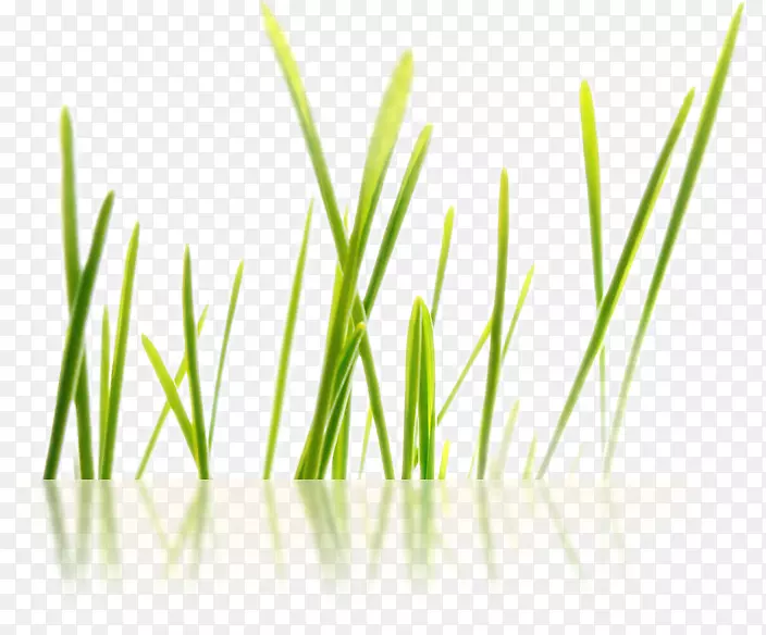 Burvrouwen boxtelse Bureau n�������Ʒ-gr-������