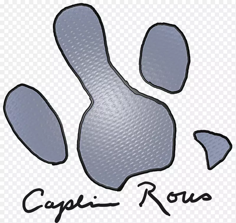 ��ָ���������-������