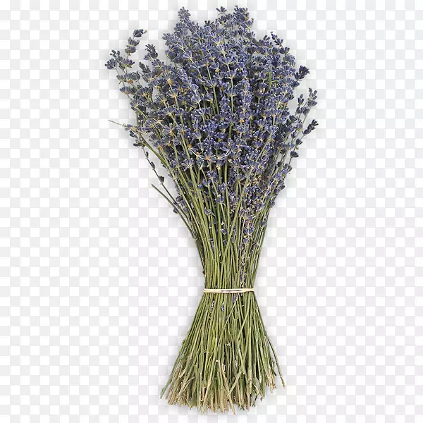 ޹�²���Ʒ-޹�²�-������