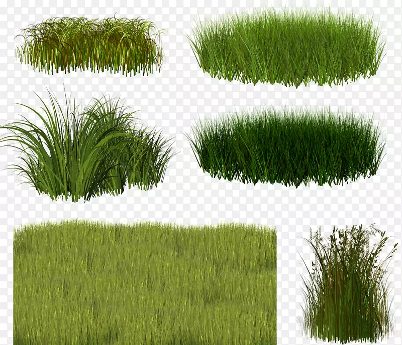 ����ݹ�ľ��-������