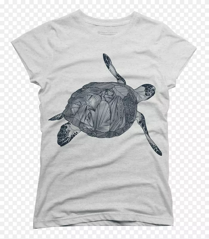 t��������Ķ���t��-������