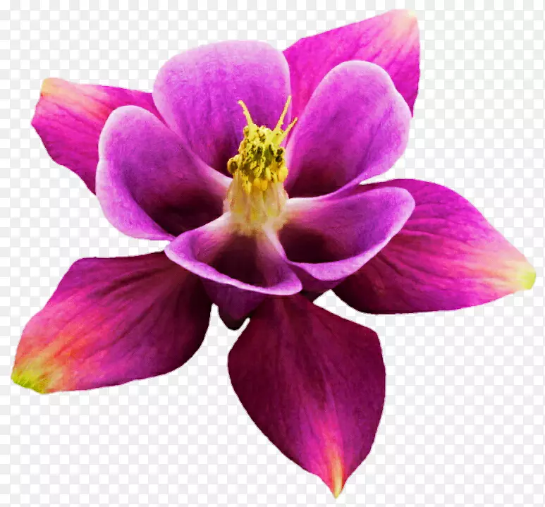 �����ֽƻ��iphone 8����װ������������ӱ�ֽ-������