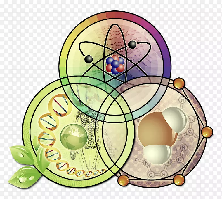 Neet��2018��ѧ������������ѧ-��ѧ-������