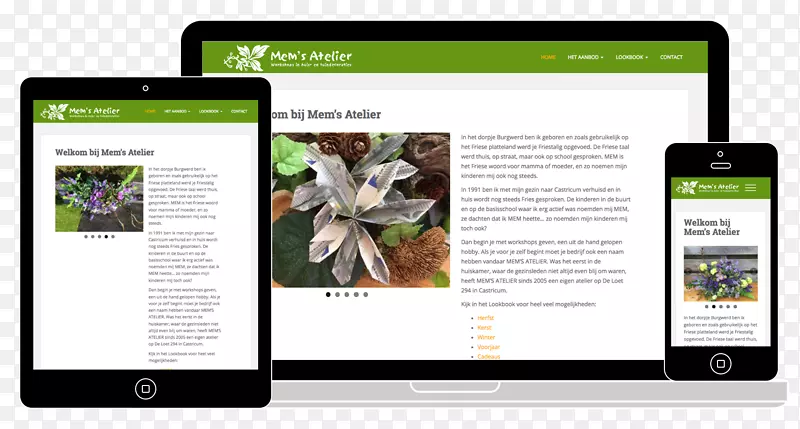 ��ý����ҳƷ��С����-mems-������