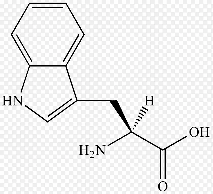 �������ᰱ���᰷�л���ѧ������-������