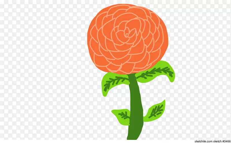 �л����������-������