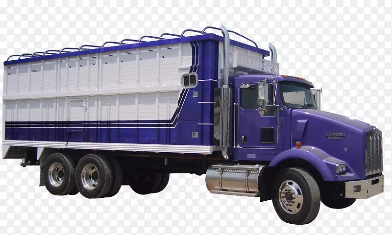 ������ж�����ո���ֽ-������