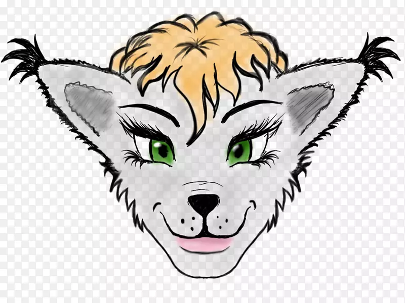 ����è���Ӽ�����è-������