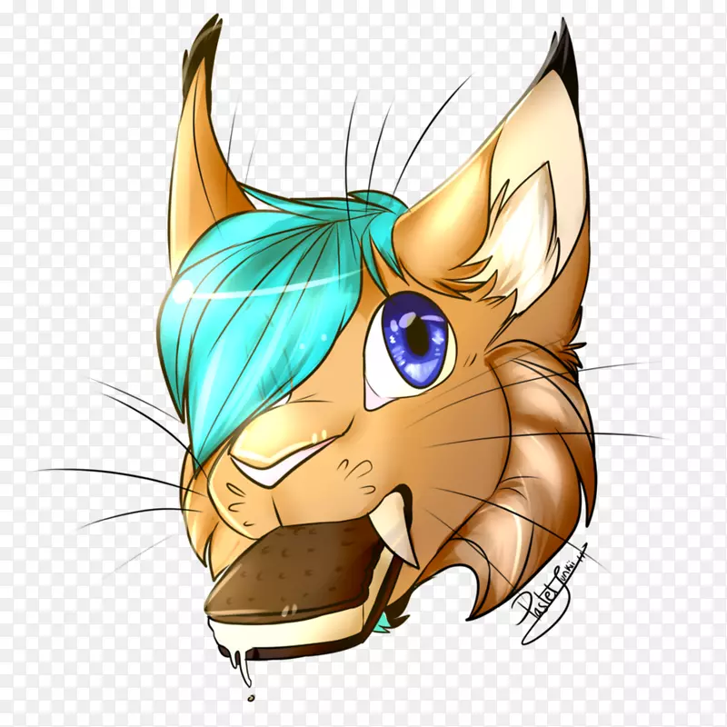 ����è���ӹ�è-������