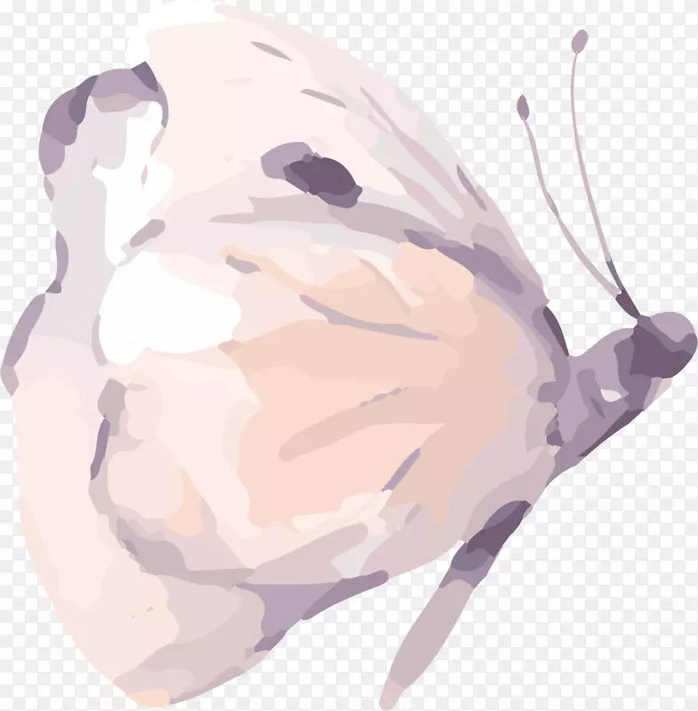 ����ˮ�ʻ�.��ͨ�ֻ�ˮ�ʻ�����-������