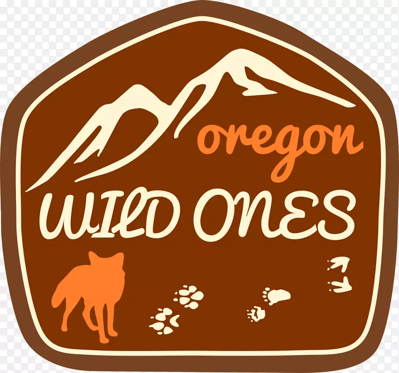 333��t������׿����t��-������