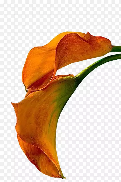 ��ˮ�ʻ����격��-��-������