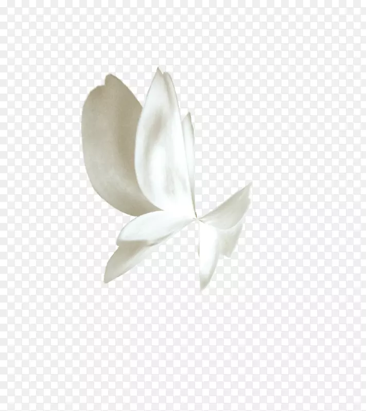 ������ɫ���-��ɫ����-������