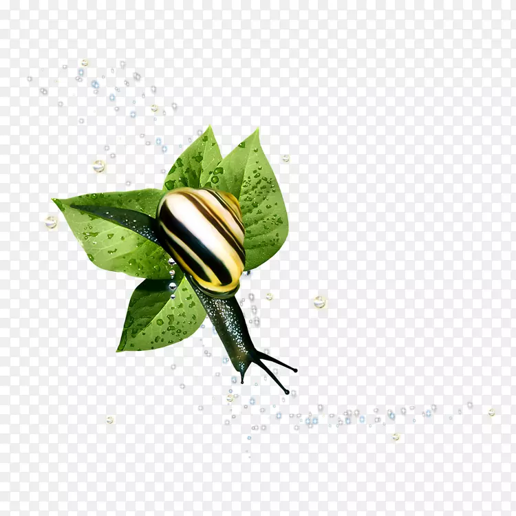 ��������-����-������