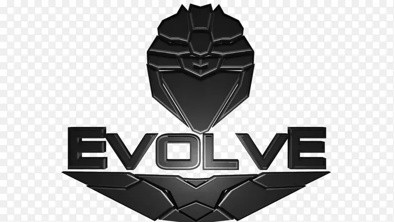 ��־�ݱ�Ʒ��-AfD��־-������