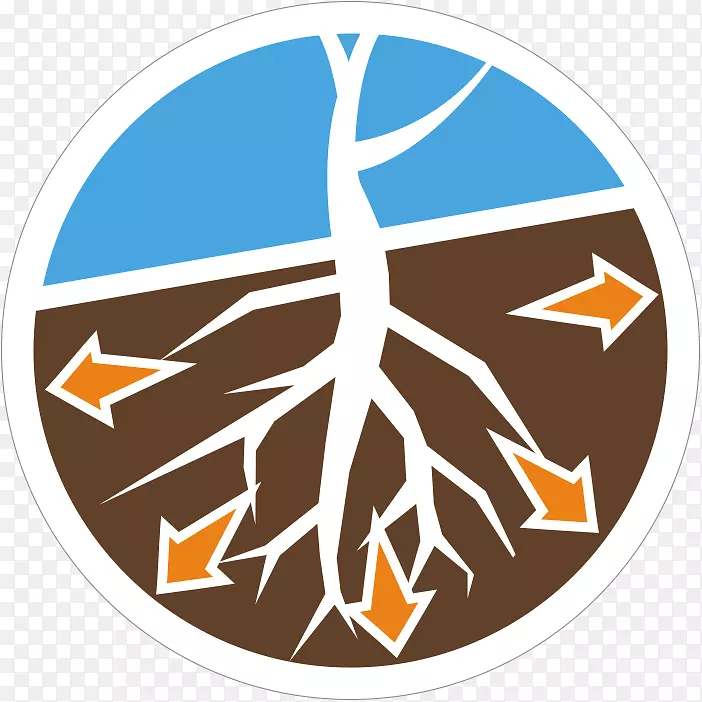 Ʒ�Ʊ�־���������-������