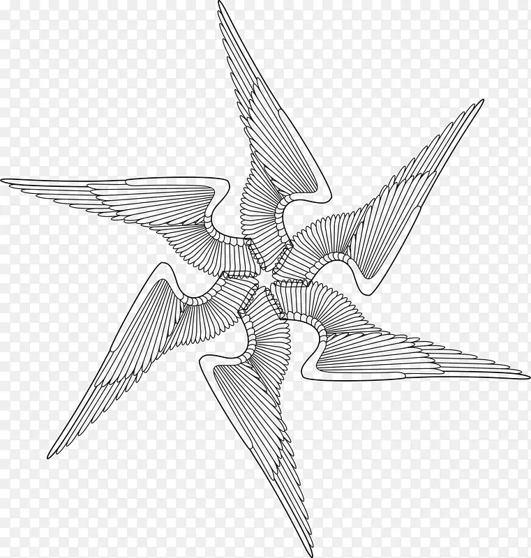 �Ʋ��е������������-�����-������