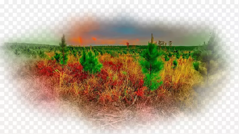 �����ֽ�������plc-�ﾰ-������