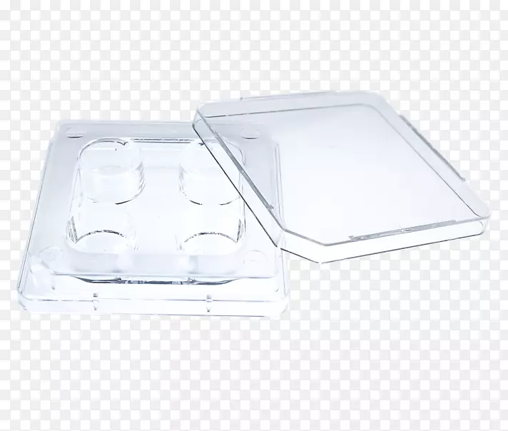 ���ϵ�-������