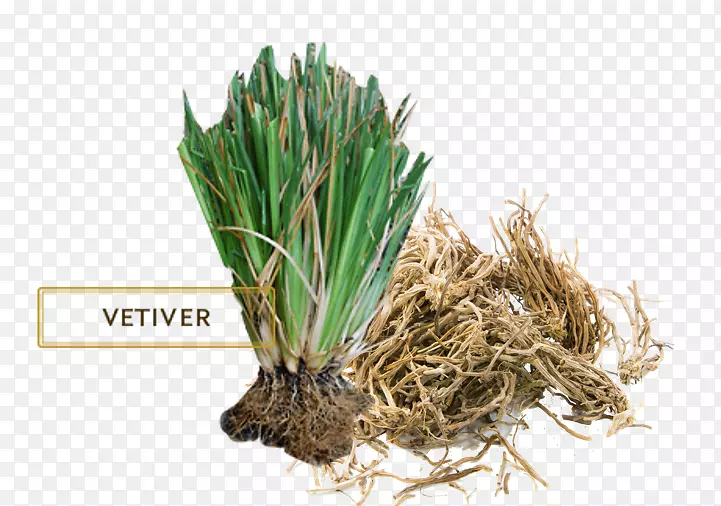 ����ݾ���-������