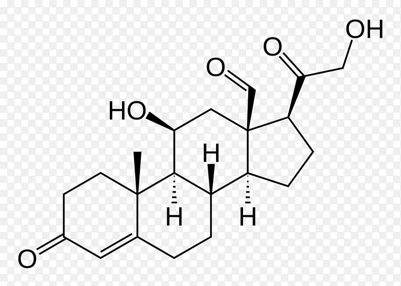 ȩ��ͪ��Ƥ�ʼ�������Ѫ�ܽ�����ϵͳ������Ƥ�ʽṹ-��ѧ-������