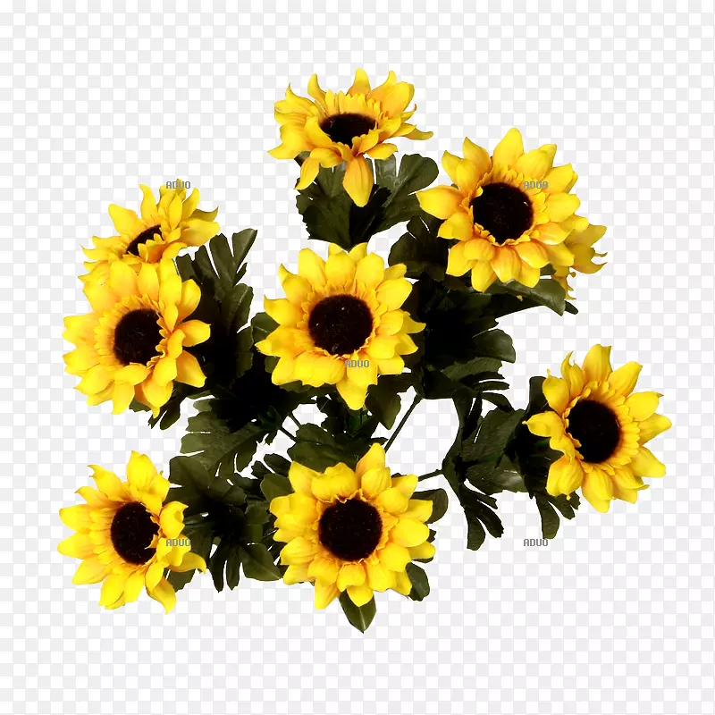 ��ͨ���տ���������л�����-������